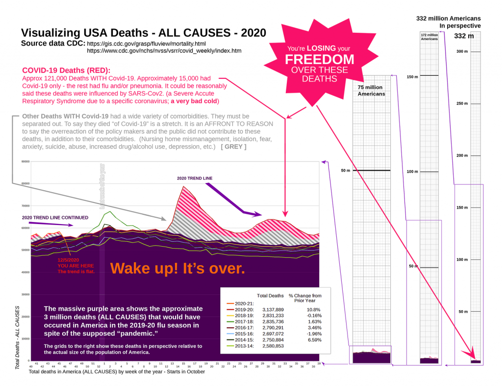 Total deaths in the US in perspective 2020